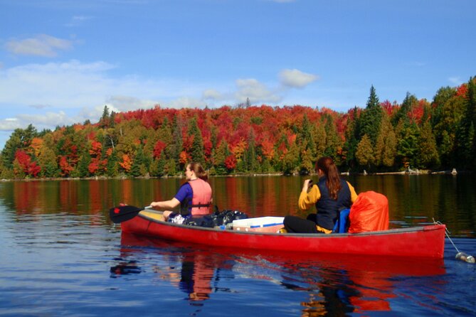Algonquin Park 4-Day Deluxe Camping & Canoeing Adventure - Paddling into Algonquin’s backcountry