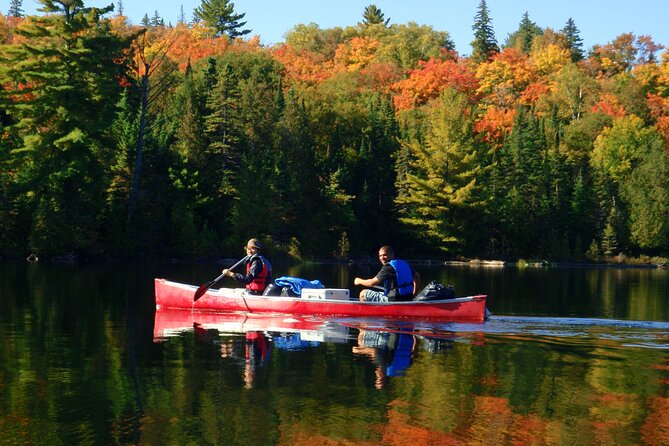 Algonquin Park 4-Day Deluxe Camping & Canoeing Adventure - An easy first afternoon with fire, food, and stars