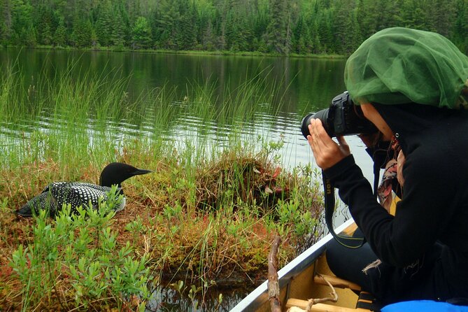 Algonquin Park 4-Day Deluxe Camping & Canoeing Adventure - Who will enjoy this four-day canoe trip?