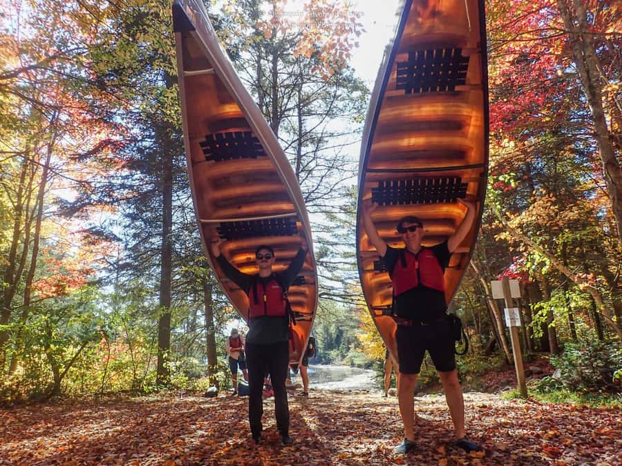 Algonquin Park: Canoe Camping Safari - Key points to know before you book