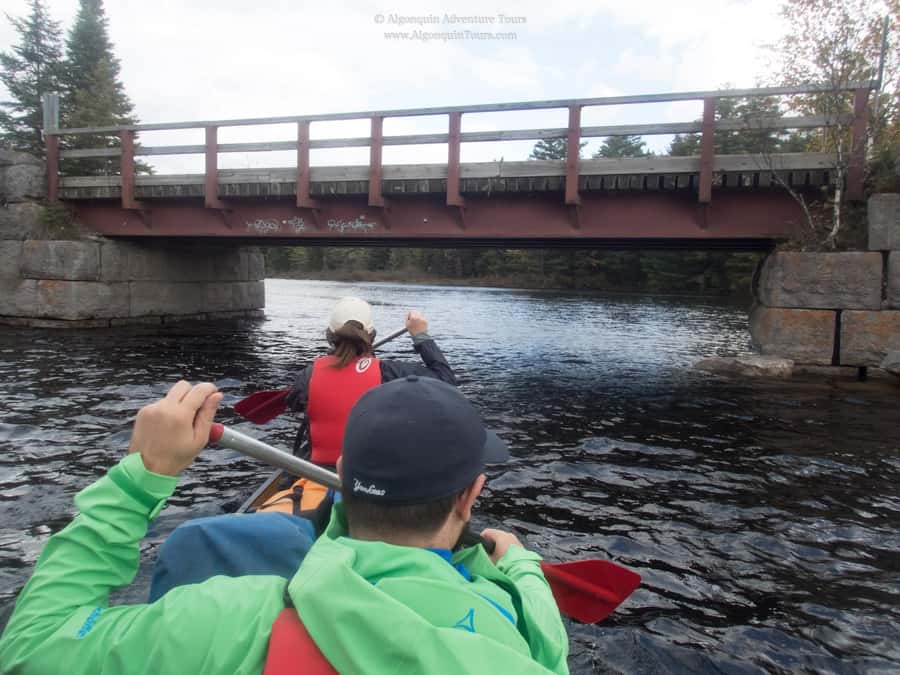 Algonquin Park: Canoe Camping Safari - Who will enjoy this canoe safari most