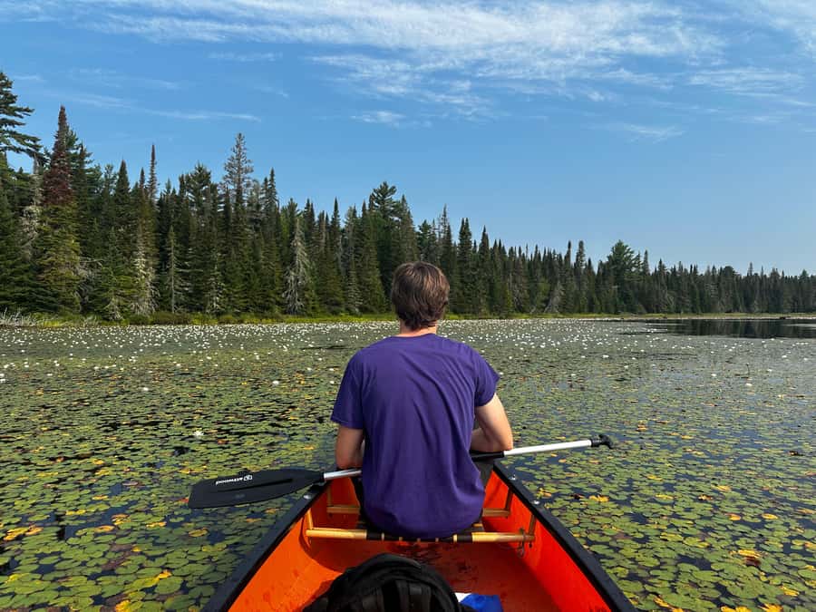 Algonquin Park: Deluxe 4-Day/3-night Canoeing/Camping - Who will enjoy this Algonquin trip most