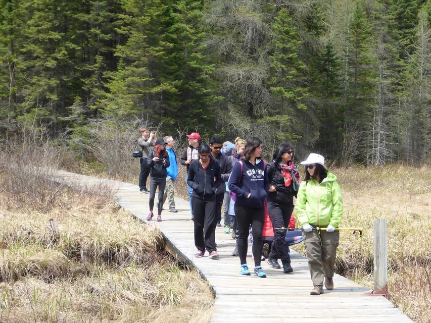 Algonquin Park Hiking: Adventure Tour from Toronto - Choosing between Mizzy Lake and shorter trails