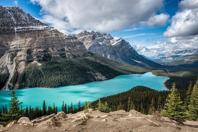 Along Icefields Parkway: Peyto Lake, Bow Lake & Columbia Icefield - Key points to know before you book