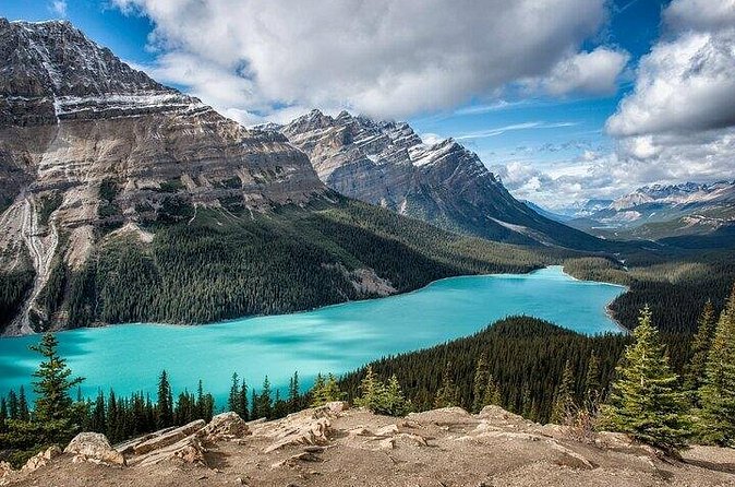 Along Icefields Parkway: Peyto Lake, Bow Lake & Columbia Icefield - Bow Lake brings turquoise water close to the road