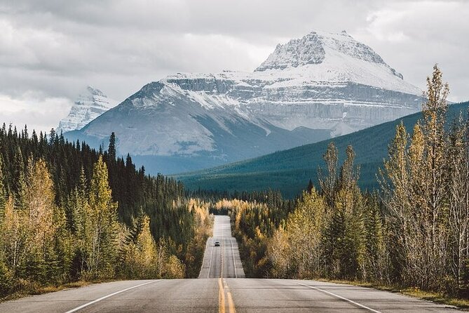 Along Icefields Parkway: Peyto Lake, Bow Lake & Columbia Icefield - The Icefields Parkway is the real star