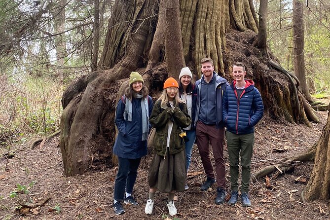 Ancient Trees of Vancouver Walking Tour - Walking among cedars that can outlive cities