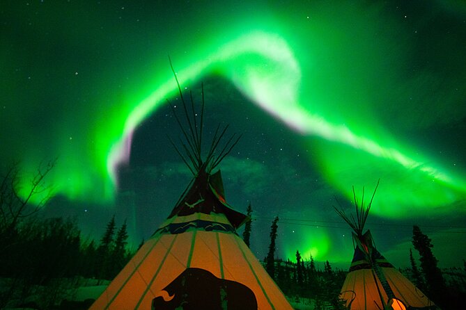 Arctic Day: Aurora Viewing Tour | late night - What happens when the aurora appears