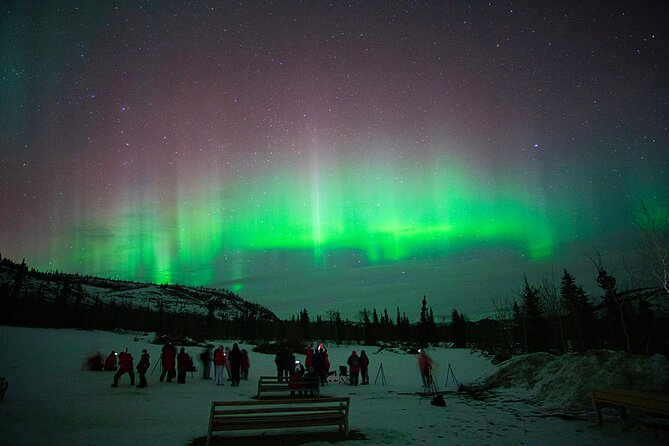Arctic Day: Aurora Viewing Tour | late night - Who will enjoy this late-night outing?