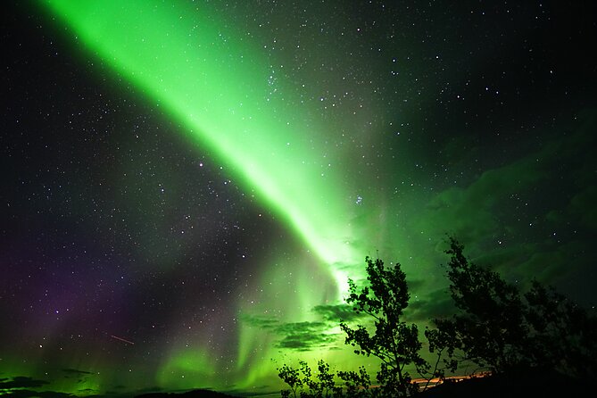 Arctic Day: Aurora Viewing Tour | late night - Booking advice and cancellation details