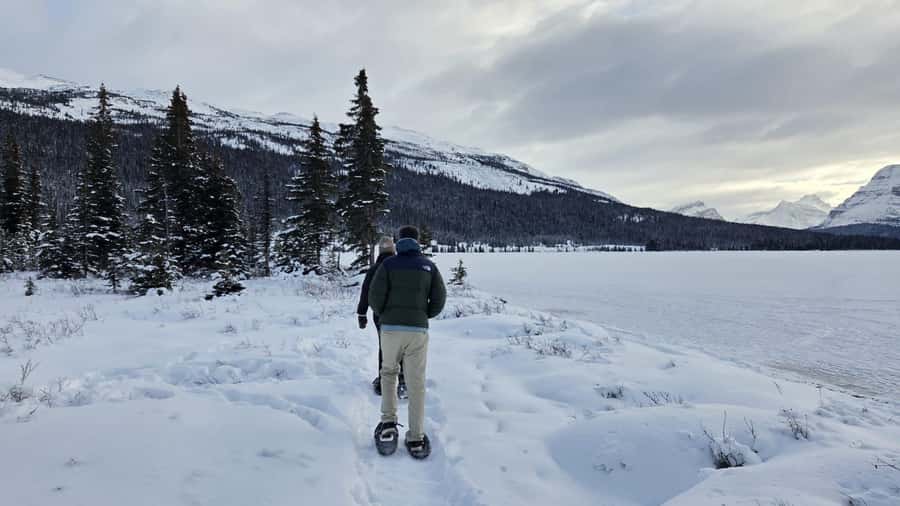 Athabasca Falls/Abraham,Sunwapta Falls, Icefield, Peyto Lake - Athabasca Falls in summer