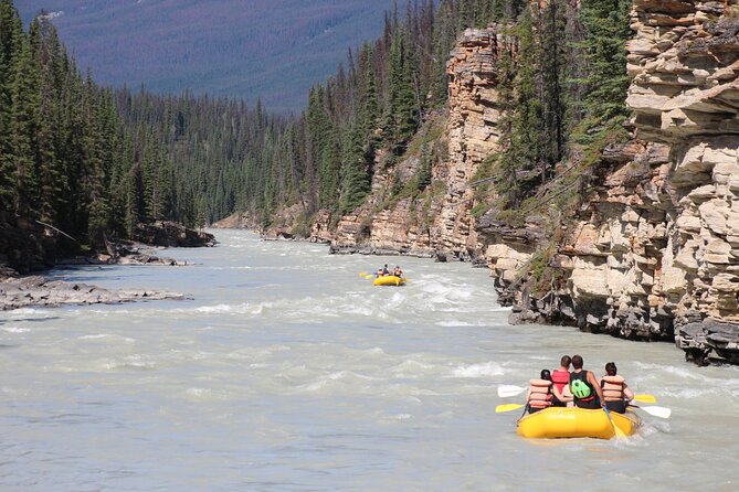 Athabasca Falls Run - What the $95.03 price includes