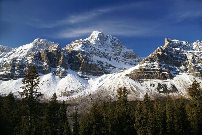 Athabasca Glacier Snow Trip from Banff - Why this 11-hour glacier trip works