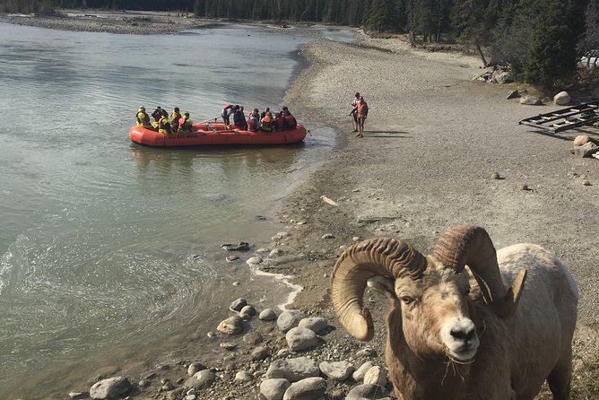 Athabasca River Easy Scenic Raft Trip - Guides who make the ride work