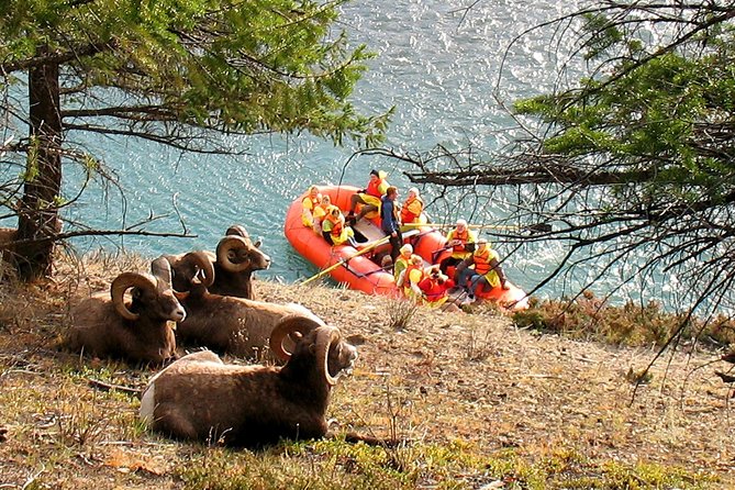 Athabasca River Easy Scenic Raft Trip - From 607 Connaught Drive to the launch site