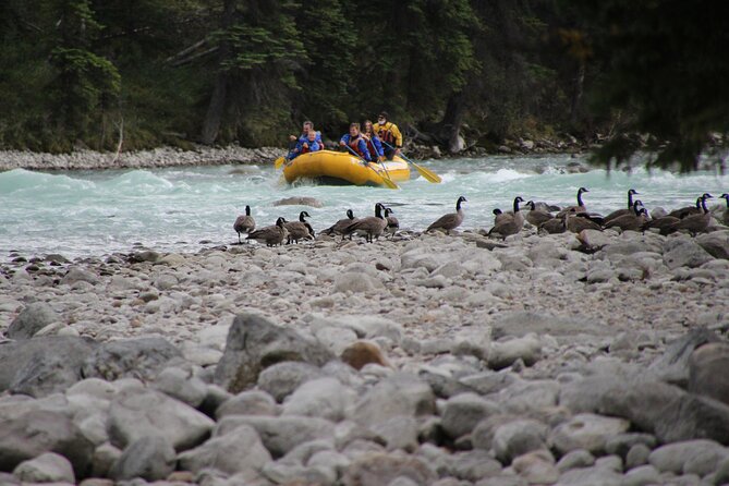 Athabasca River Mile 5 - The Rocky Mountain setting adds real value