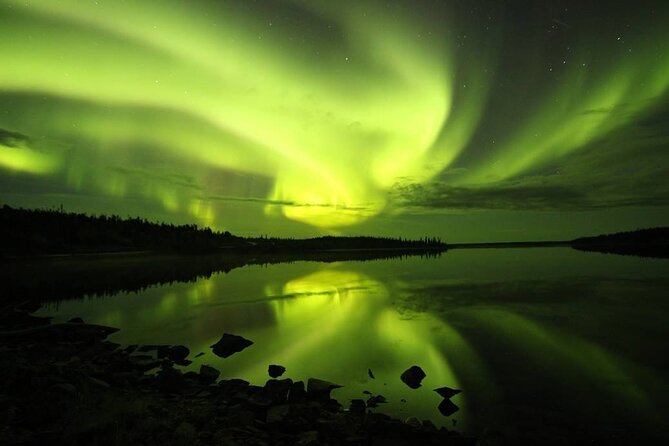 Aurora Hunting Tours - What the Four Hours Actually Feel Like