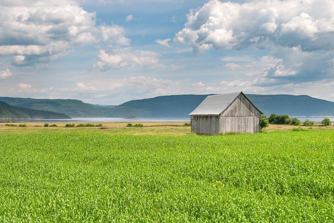 Back Country of the Fjord and the National Park - Shops, coffee, and free time beside the bay