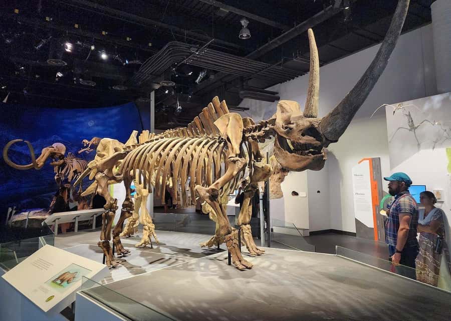 Badlands Tour: Drumheller with Museum, Hoodoos & Coal Mine - A giant T-Rex and a practical lunch stop