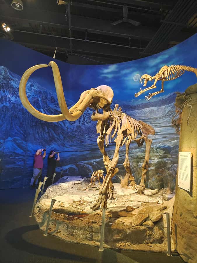 Badlands Tour: Drumheller with Museum, Hoodoos & Coal Mine - How the $126 price works out