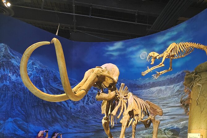 Badlands Tour: Drumheller with Museum, Hoodoos & Dinosaurs - Lunch in Drumheller keeps the day flexible
