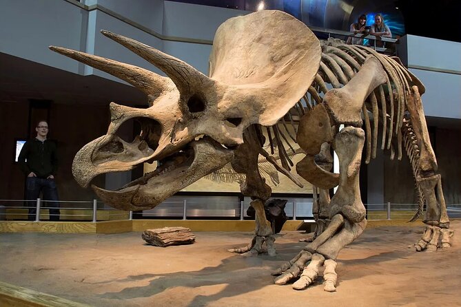 Badlands Tour: Drumheller with Museum, Hoodoos & Dinosaurs - Star Mine Suspension Bridge adds a short local-history stop