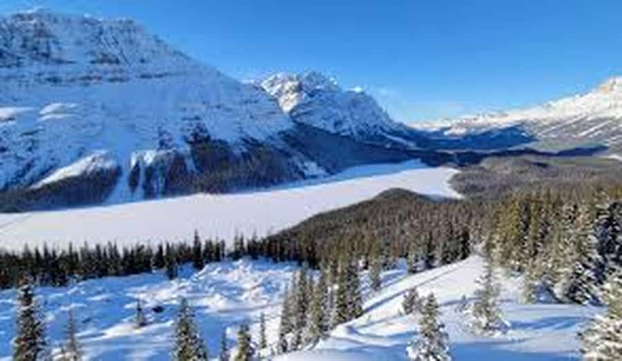 Banff and Jasper National Parks: Tour with Transport - The Columbia Icefield is the grand finale
