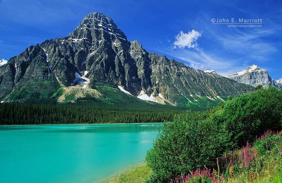 Banff and Jasper National Parks: Tour with Transport - What the guides add to the day