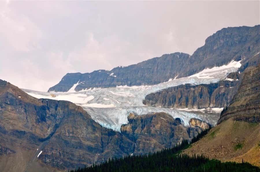 Banff and Jasper National Parks: Tour with Transport - Pickup details and the long ride north