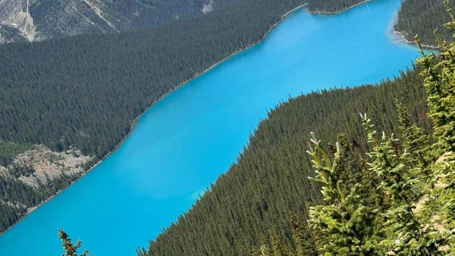 Banff/Calgary/Canmore: Crowfoot Glacier and 5 Lakes Tour - Waterfowl Lake depends on the season