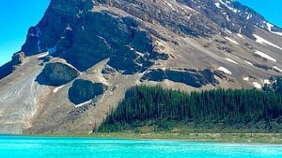 Banff/Calgary/Canmore: Crowfoot Glacier and 5 Lakes Tour - The road time is part of the attraction