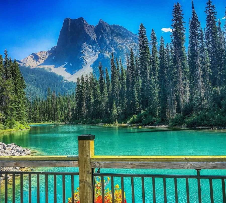 Banff/Calgary:Lake Louise,Moraine Lake,Emerald Lake Day Tour - Key points to know before booking