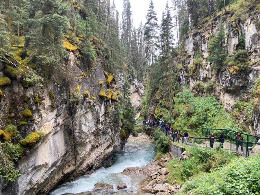Banff/Canmore: Moraine Lake 1.5h & Lake Louise Half-Day Tour - Practical details before you reserve
