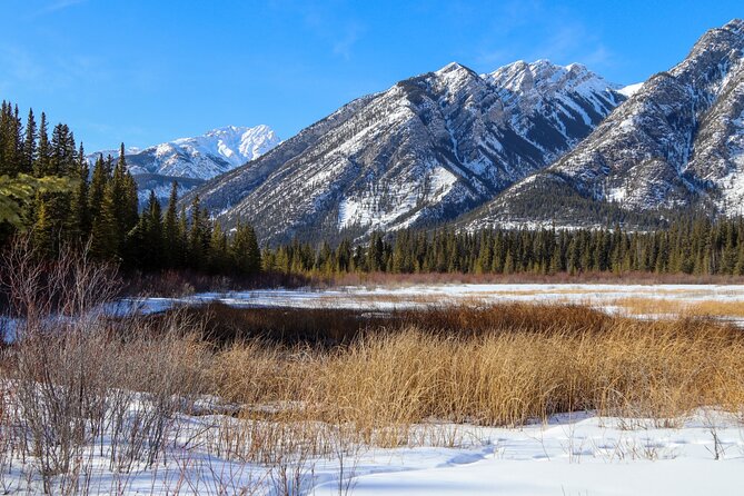 Banff Cave & Hot Springs Audio Walking Tour (Not a Ticket) - The Castle Mountain Internment Camp story