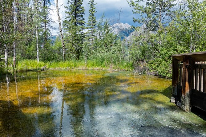 Banff Cave & Hot Springs Audio Walking Tour (Not a Ticket) - The Bow River marsh route