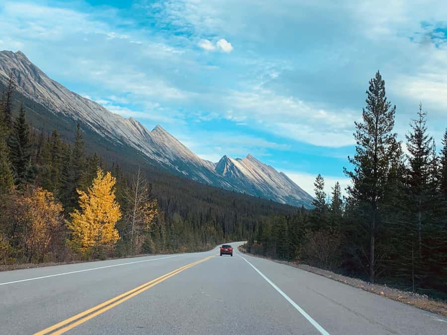 Banff: Columbia Icefield, Skywalk, Parkway, Bow & Peyto Lake - Peyto Lake and its striking blue water