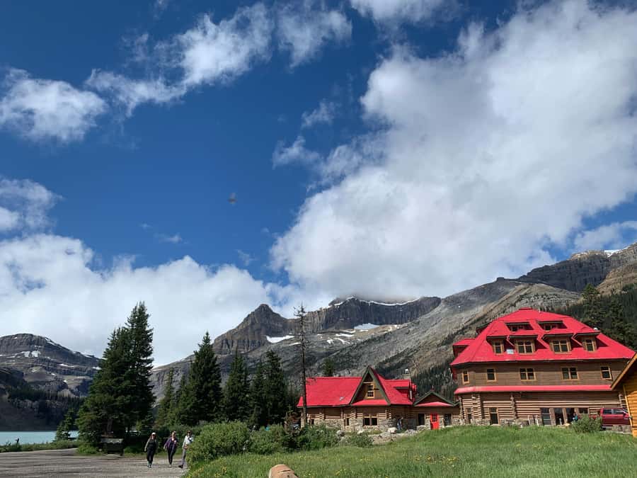 Banff: Columbia Icefield, Skywalk, Parkway, Bow & Peyto Lake - Bow Lake gives you an early taste of the Rockies