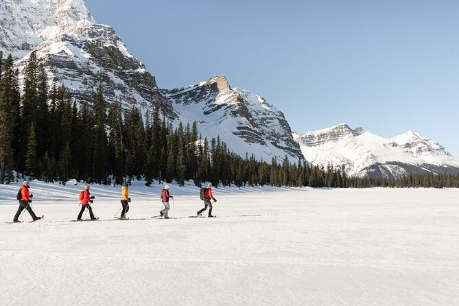 Banff Day Trip: Johnston Canyon, Fairmont Banff Springs, Gondola - The Banff Gondola choice