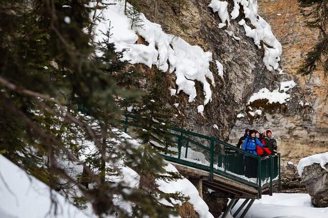 Banff Day Trip: Johnston Canyon, Fairmont Banff Springs, Gondola - Guides, commentary, and group size
