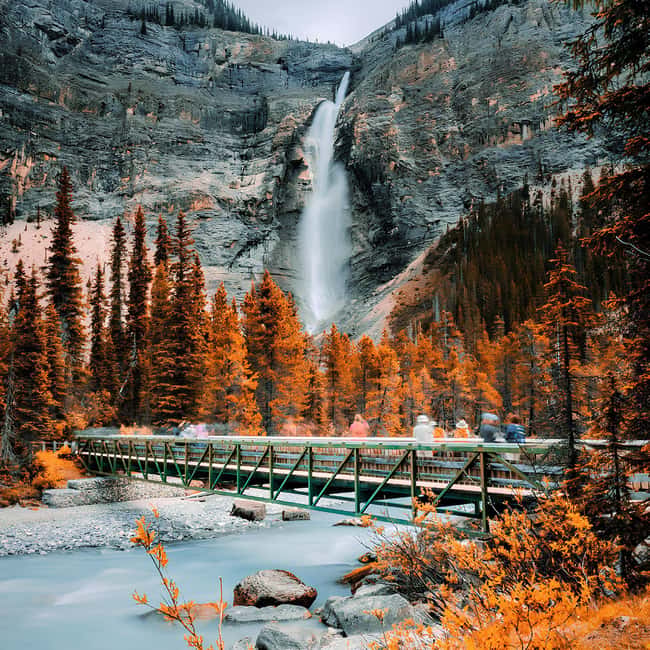 Banff: Emerald Lake, Wapta Falls & Takakkaw Falls Day Trip - Natural Bridge is short but worth your camera time