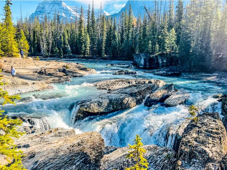 Banff: Emerald Lake, Wapta Falls & Takakkaw Falls Day Trip - Small groups make the logistics easier