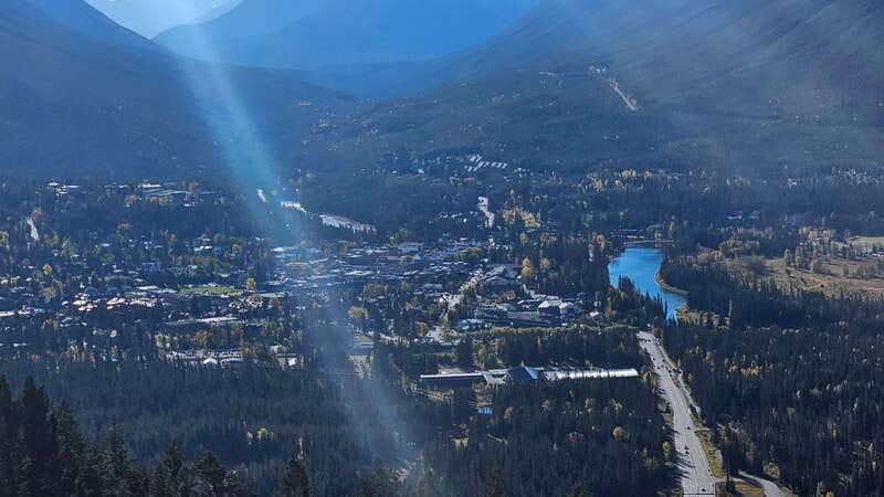 Banff: Evening Wildlife Safari Guided Tour - Who should book this Banff wildlife tour?