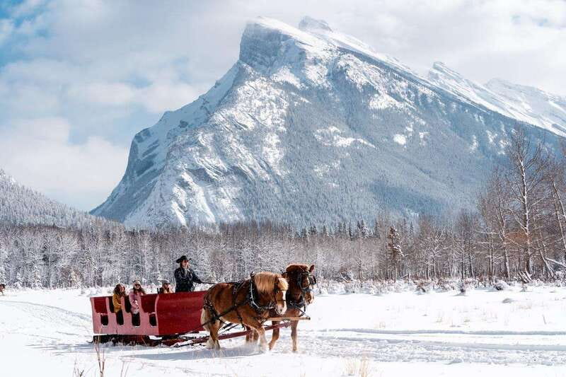 Banff: Family Friendly Horse-Drawn Sleigh Ride - Stories from the driver and time with the horses