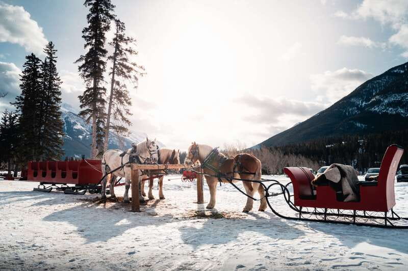 Banff: Family Friendly Horse-Drawn Sleigh Ride - The campfire and hot drink finish