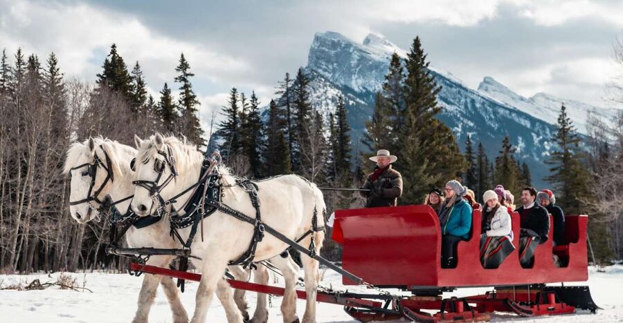 Banff: Family Friendly Horse-Drawn Sleigh Ride - Who will enjoy this Banff outing most