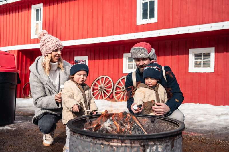 Banff: Family Friendly Horse-Drawn Sleigh Ride - Climbing into the sleigh