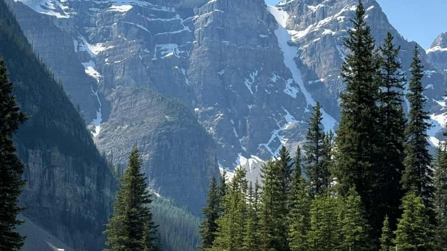 Banff: Gondola, Hot Springs, Bow falls & Three lakes tour - Banff Avenue gives you time to wander