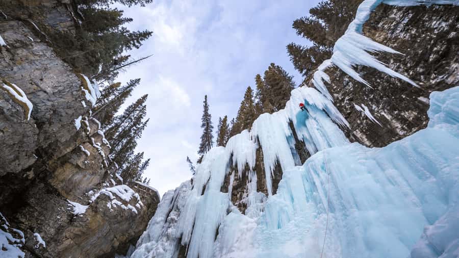 Banff: Gondola Ticket and Johnston Canyon Hiking Tour - Riding above the Bow Valley on Sulphur Mountain