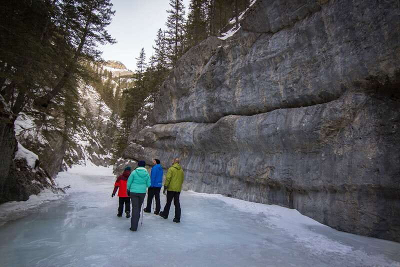 Banff: Grotto Canyon Icewalk - Stunted pines, animal tracks, and small details