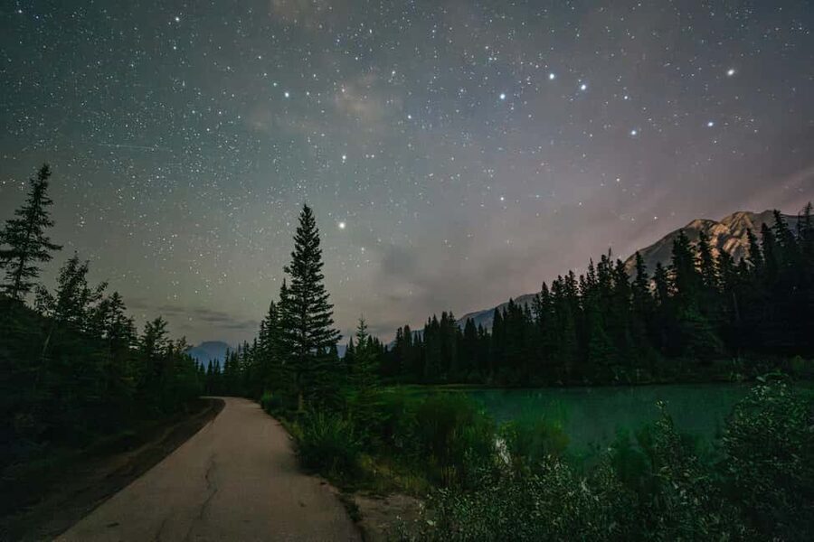 Banff: Guided Sunset and Stargazing Tour - The Return Walk: Headlamps and the Nocturnal World